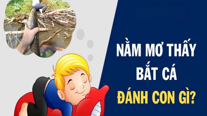 Mơ thấy cá đánh đề số mấy?